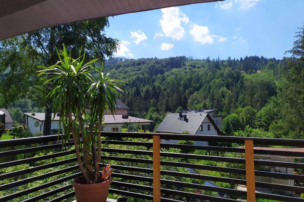Apartament I